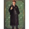 Panini Harry Potter Evolution Trading Cards Nr 029 Ron Weasley