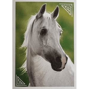 Horse Club Lieblingspferde Sticker - Nr 029