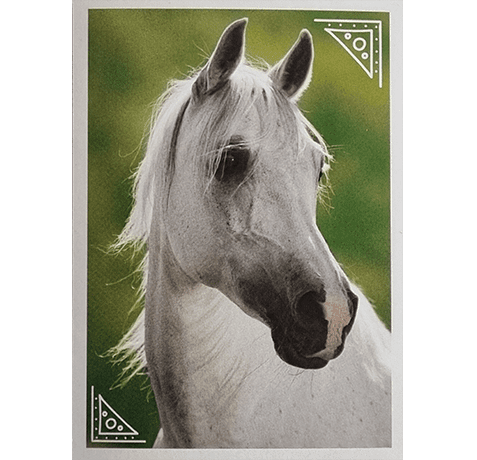 Horse Club Lieblingspferde Sticker - Nr 029