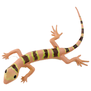 Blue Ocean Geckos Planet WOW - Gecko Nr 3 - Malaiischer Bogenfingergecko