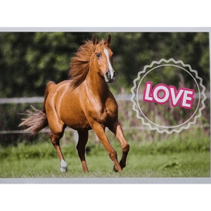 Horse Club Lieblingspferde Sticker - Nr 030