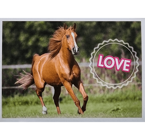 Horse Club Lieblingspferde Sticker - Nr 030