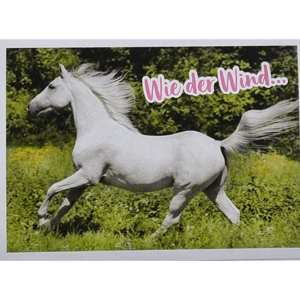 Horse Club Lieblingspferde Sticker - Nr 032