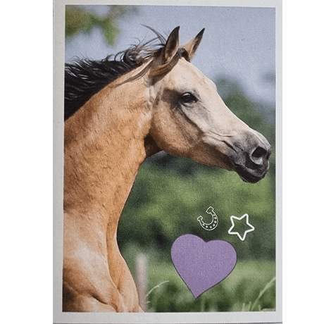 Horse Club Lieblingspferde Sticker - Nr 034