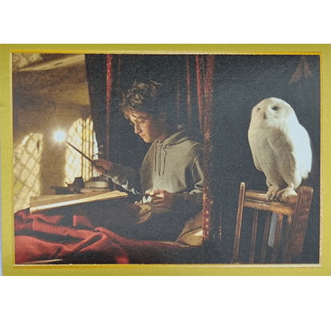 Panini Harry Potter Anthology Sticker Nr 035