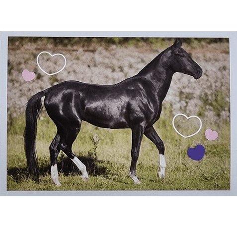 Horse Club Lieblingspferde Sticker - Nr 036