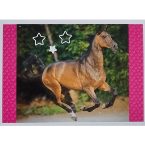 Horse Club Lieblingspferde Sticker - Nr 037