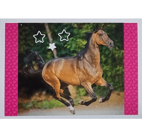 Horse Club Lieblingspferde Sticker - Nr 037