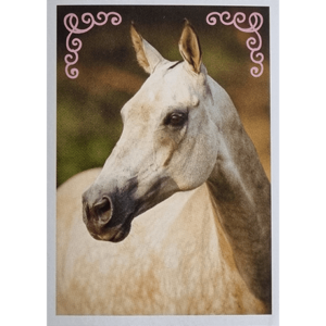 Horse Club Lieblingspferde Sticker - Nr 038