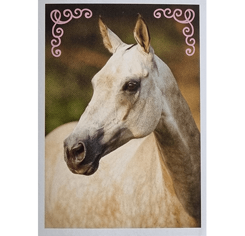 Horse Club Lieblingspferde Sticker - Nr 038