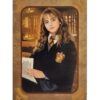 Panini Harry Potter Evolution Trading Cards Nr 039 Hermine Granger