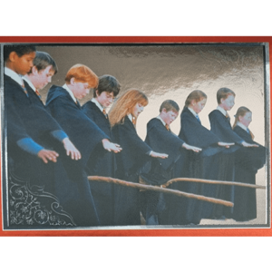 Panini Harry Potter Anthology Sticker Nr 039