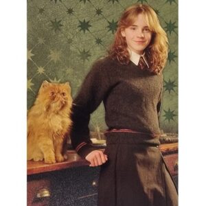 Panini Harry Potter Evolution Trading Cards Nr 040 Hermine Granger