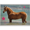 Horse Club Lieblingspferde Sticker - Nr 041