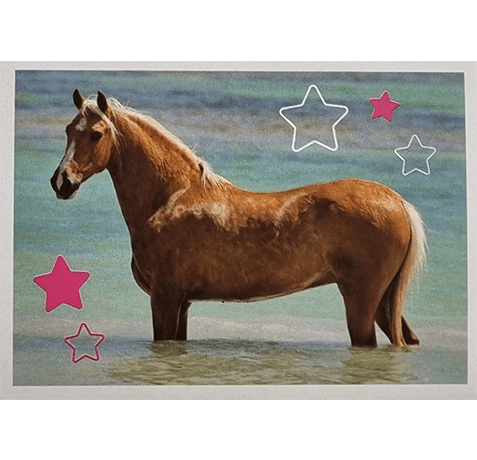 Horse Club Lieblingspferde Sticker - Nr 041