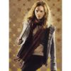 Panini Harry Potter Evolution Trading Cards Nr 044 Hermine Granger