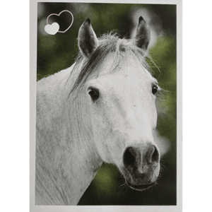 Horse Club Lieblingspferde Sticker - Nr 045