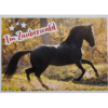 Horse Club Lieblingspferde Sticker - Nr 046