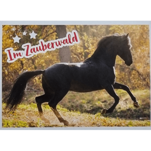 Horse Club Lieblingspferde Sticker - Nr 046