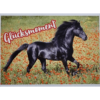 Horse Club Lieblingspferde Sticker - Nr 053