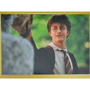 Panini Harry Potter Anthology Sticker Nr 053