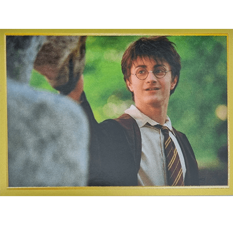 Panini Harry Potter Anthology Sticker Nr 053