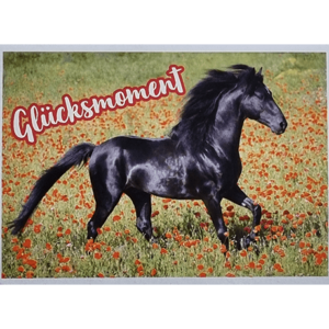 Horse Club Lieblingspferde Sticker - Nr 053