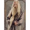 Panini Harry Potter Evolution Trading Cards Nr 053 Albus Dumbledore