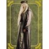 Panini Harry Potter Evolution Trading Cards Nr 054 Albus Dumbledore