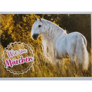 Horse Club Lieblingspferde Sticker - Nr 057