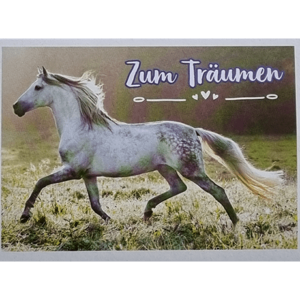 Horse Club Lieblingspferde Sticker - Nr 061