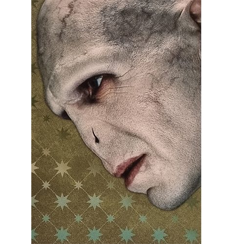 Panini Harry Potter Evolution Trading Cards Nr 061 Lord Voldemort