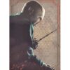 Panini Harry Potter Evolution Trading Cards Nr 062 Lord Voldemort