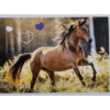 Horse Club Lieblingspferde Sticker - Nr 063