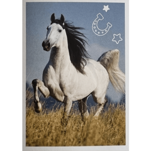 Horse Club Lieblingspferde Sticker - Nr 065