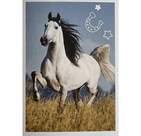 Horse Club Lieblingspferde Sticker - Nr 065