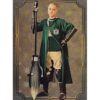 Panini Harry Potter Evolution Trading Cards Nr 074 Draco Malfoy