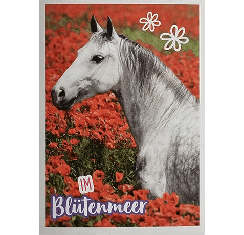 Horse Club Lieblingspferde Sticker - Nr 075