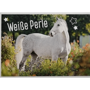 Horse Club Lieblingspferde Sticker - Nr 079