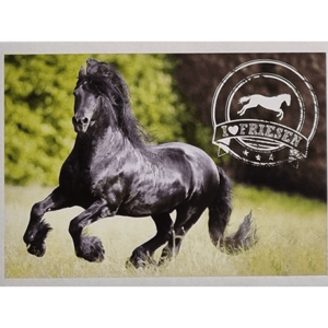 Horse Club Lieblingspferde Sticker - Nr 084