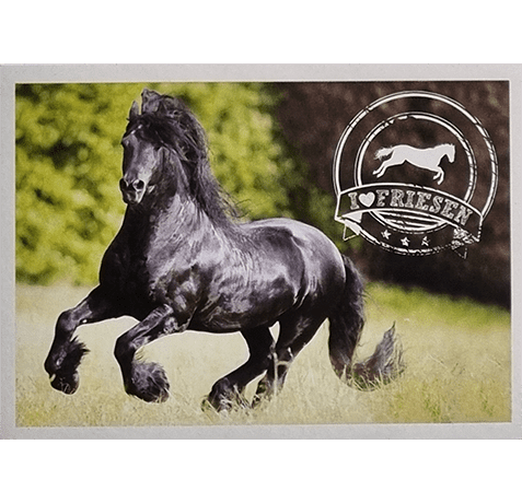 Horse Club Lieblingspferde Sticker - Nr 084