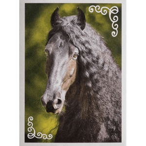 Horse Club Lieblingspferde Sticker - Nr 086