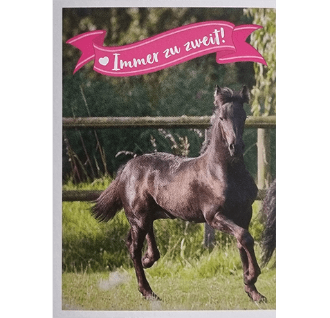 Horse Club Lieblingspferde Sticker - Nr 088