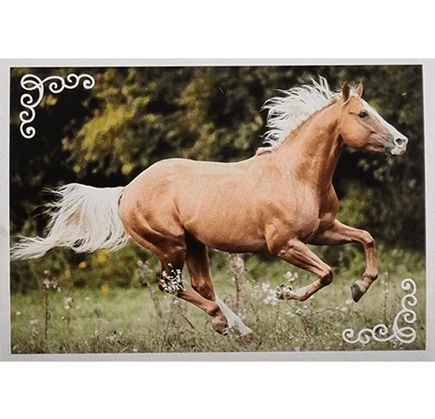 Horse Club Lieblingspferde Sticker - Nr 093