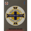 Panini Frauen EM 2022 Sticker - Nr 094 Northern Ireland Logo