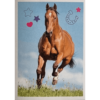 Horse Club Lieblingspferde Sticker - Nr 097