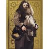 Panini Harry Potter Evolution Trading Cards Nr 099 Rubeus Hagrid Parallel Gold