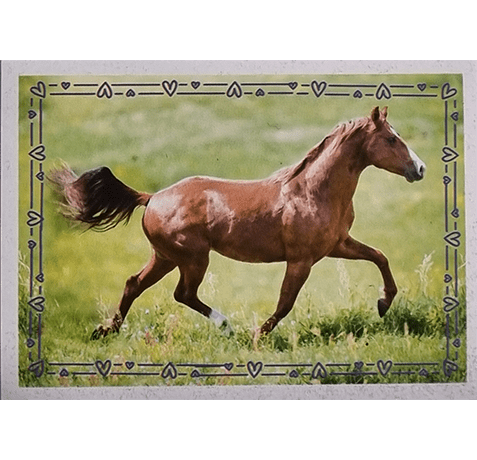 Horse Club Lieblingspferde Sticker - Nr 099