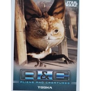 Topps The Mandalorian Trading Cards 2021 Nr AC 7 Tooka