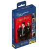 Panini Harry Potter Evolution Trading Cards 1x Mini Tin Rot